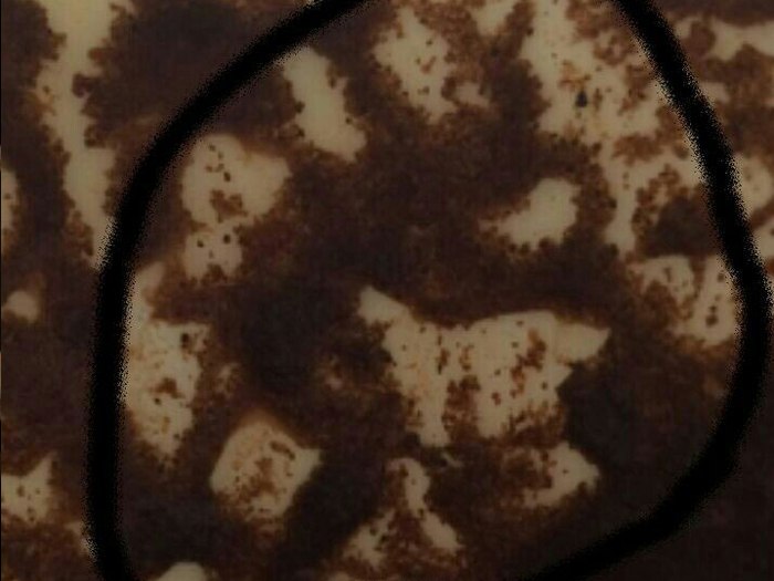 Сильная гадалка в Волоколамске – Отзывы и помощь Ясновидящей